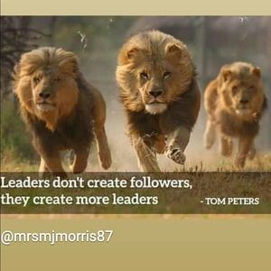 Meet your Posher, Terrence